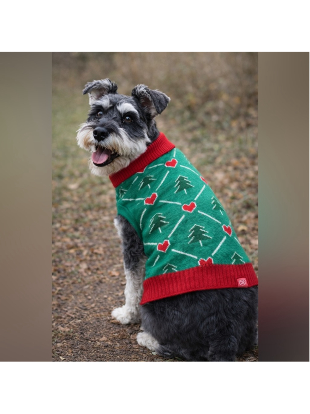 Boots & Barkley Festive Dog Sweater Green Red Size Large